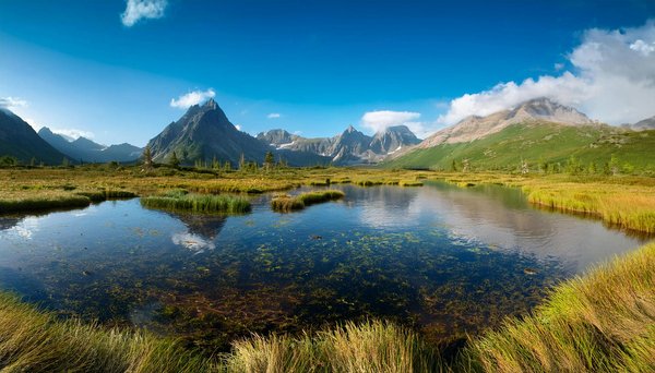 Unveiling the Art of Traditional UK Pottery: Where to Immerse Yourself in Craftsmanship