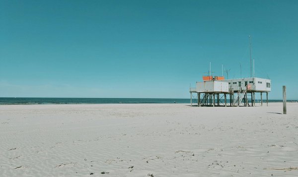 Embark on the ultimate uk cruise adventure: ignite your creativity with hands-on workshops in traditional british craftsmanship!